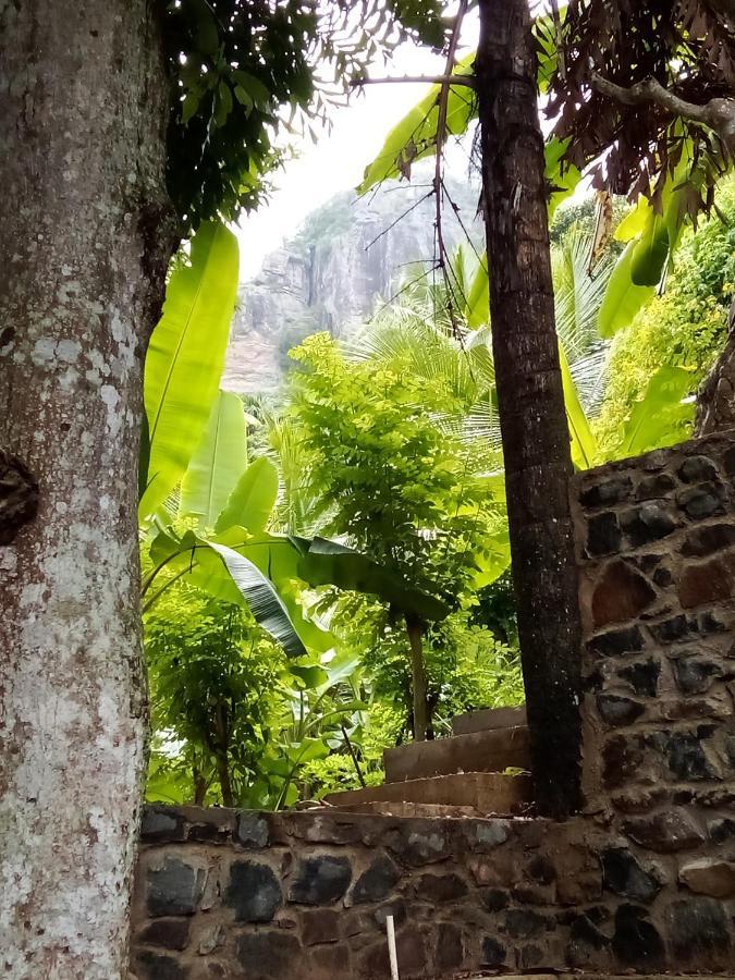 Forest Rawana Homestay Ella Exteriér fotografie