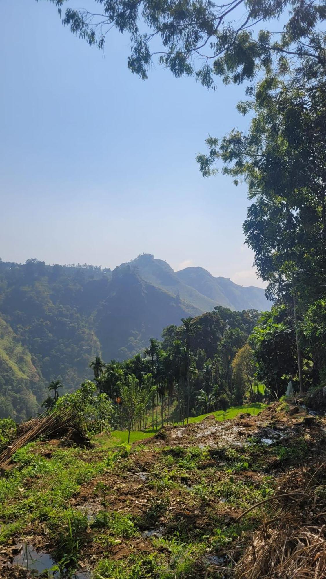 Forest Rawana Homestay Ella Exteriér fotografie