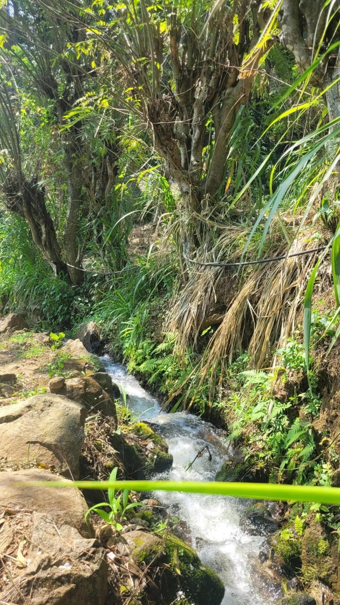 Forest Rawana Homestay Ella Exteriér fotografie