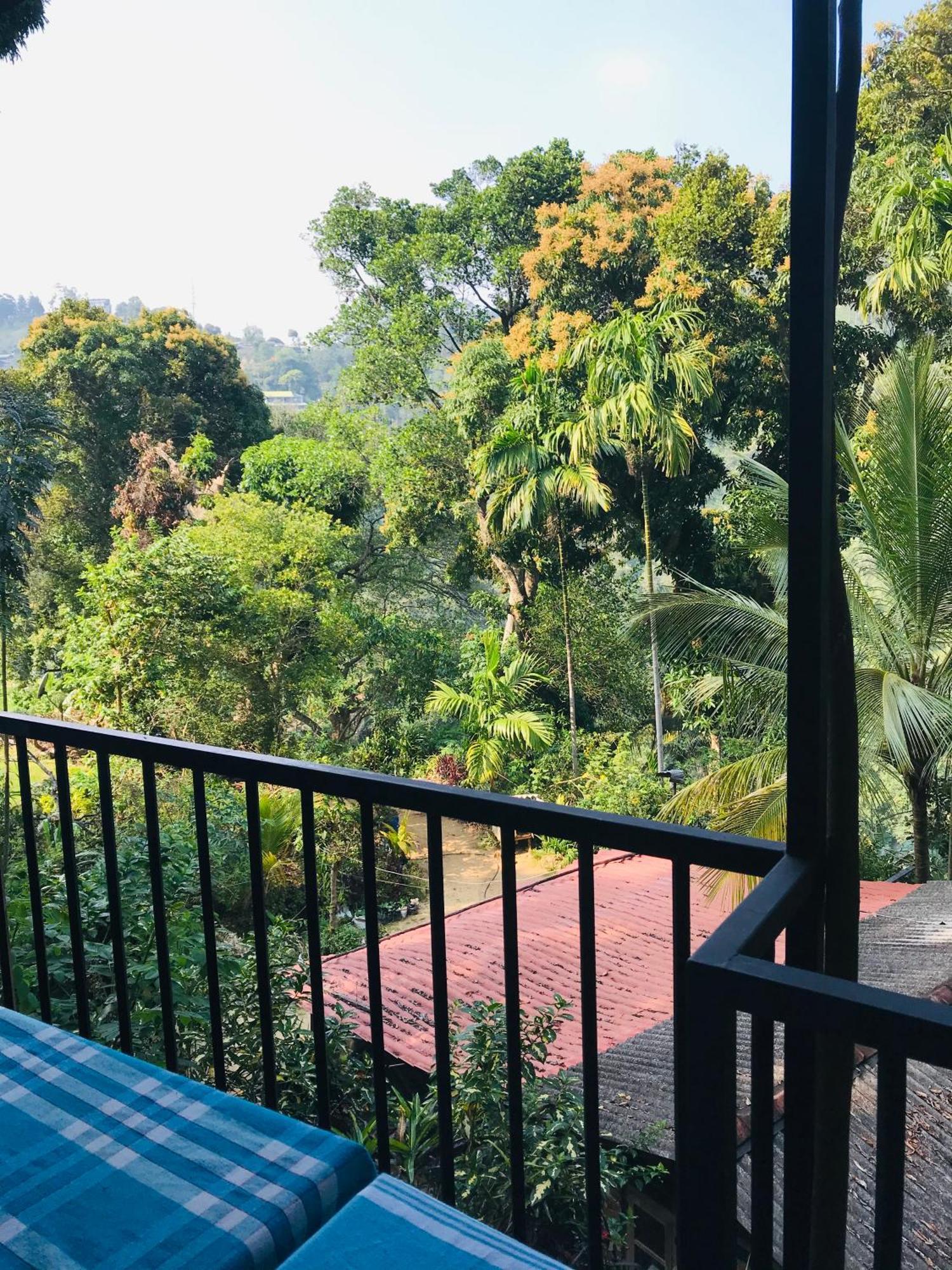 Forest Rawana Homestay Ella Exteriér fotografie
