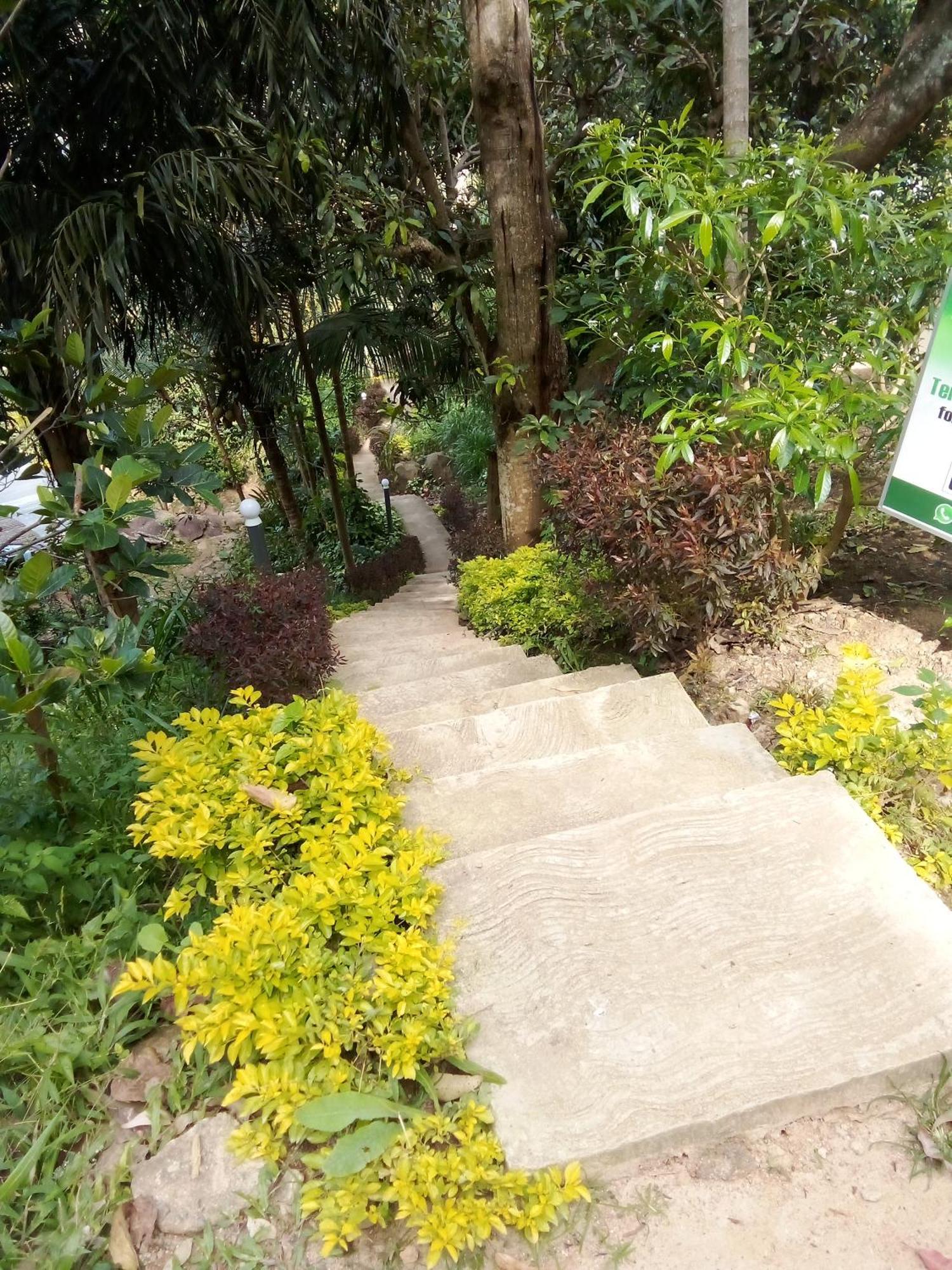 Forest Rawana Homestay Ella Exteriér fotografie