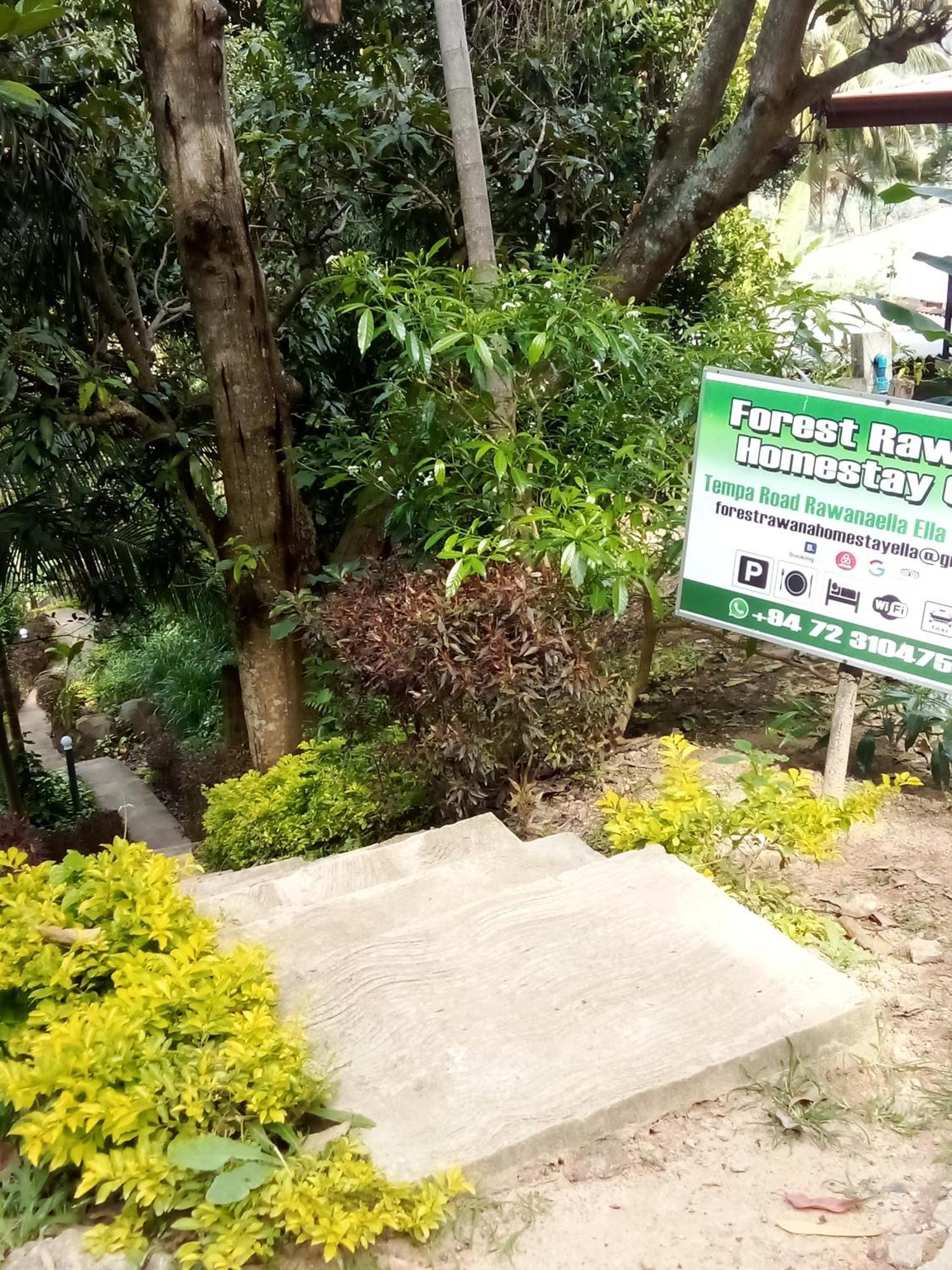 Forest Rawana Homestay Ella Exteriér fotografie